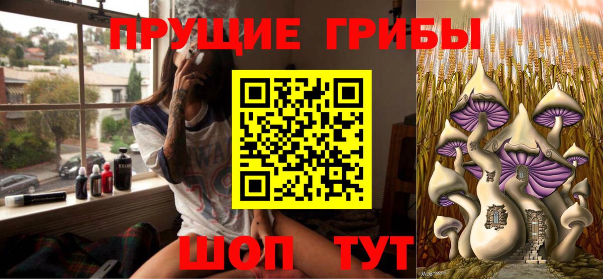 Псилоцибиновые грибы Psilocybe  где найти наркотики  Вход с VPN  Коркино  Псилоцибиновые грибы прущие грибы 