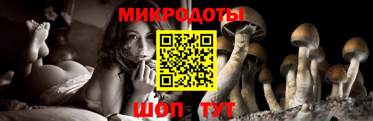 Галлюциногенные грибы мицелий Коркино